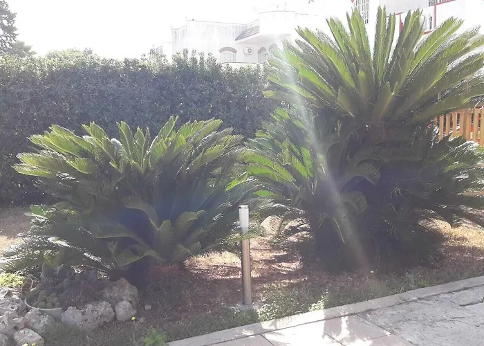 住宿加早餐酒店 戴马尔住宿加早餐旅馆 巴里